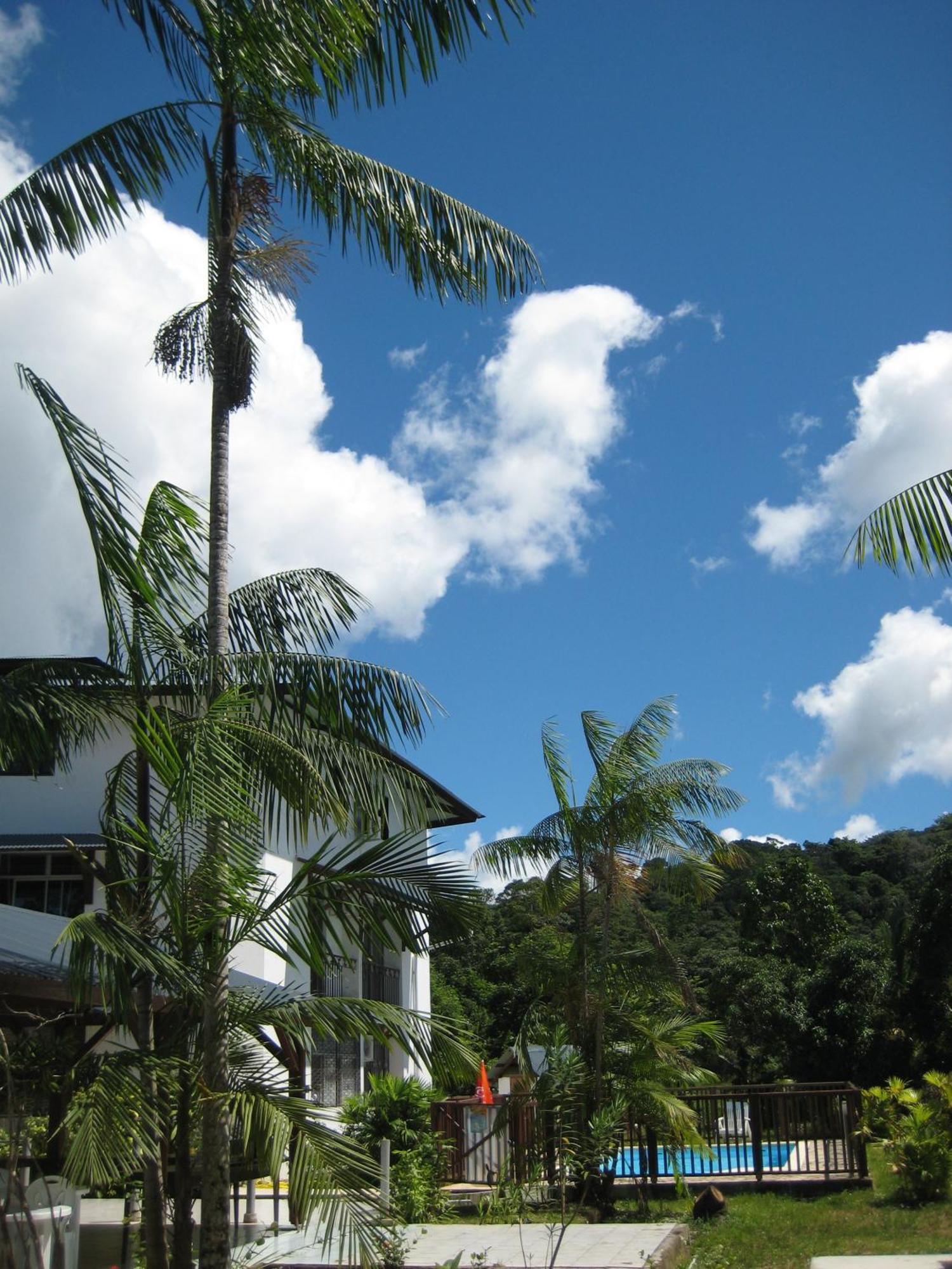 Hotel La Marmotte Matoury Exterior photo